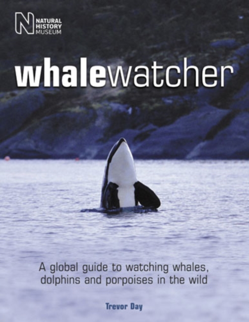 Whale Watcher, Paperback Book