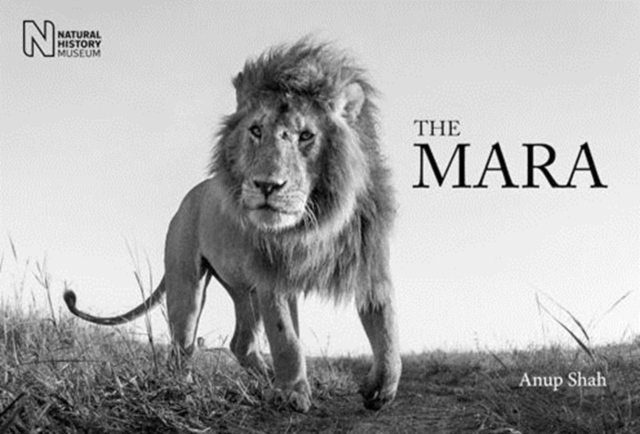 The Mara, Hardback Book