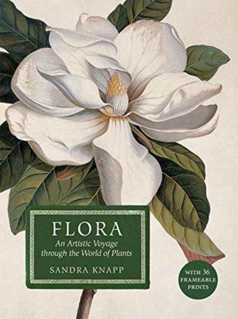 Flora: An Artistic Voyage Through the World of Plants, Hardback Book