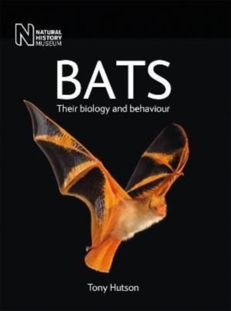 Bats : Their biology and behaviour, Paperback / softback Book