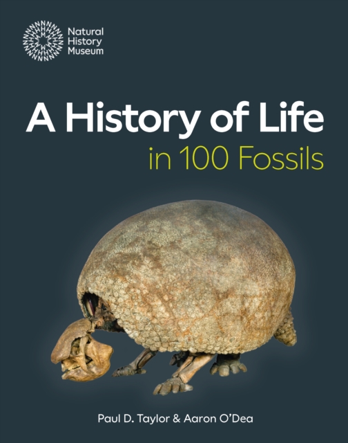 A History of Life in 100 Fossils, Paperback / softback Book