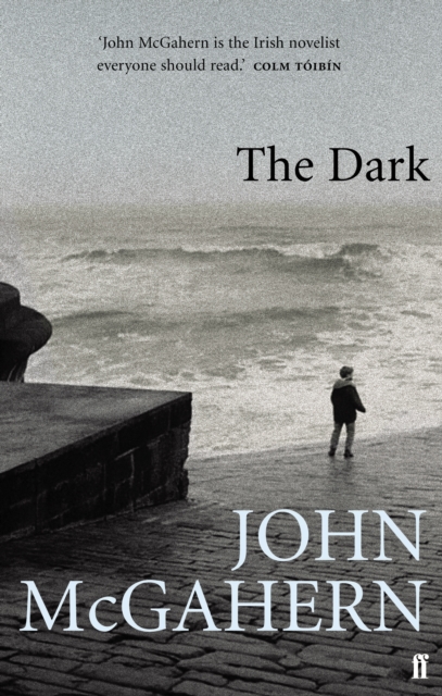 The Dark, Paperback / softback Book