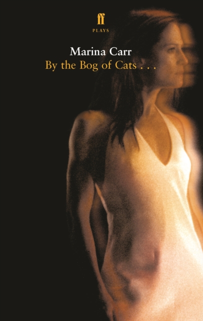 By the Bog of Cats, Paperback / softback Book