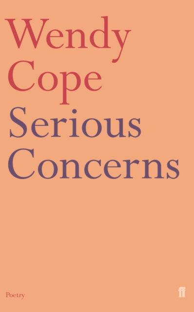 Serious Concerns, EPUB eBook