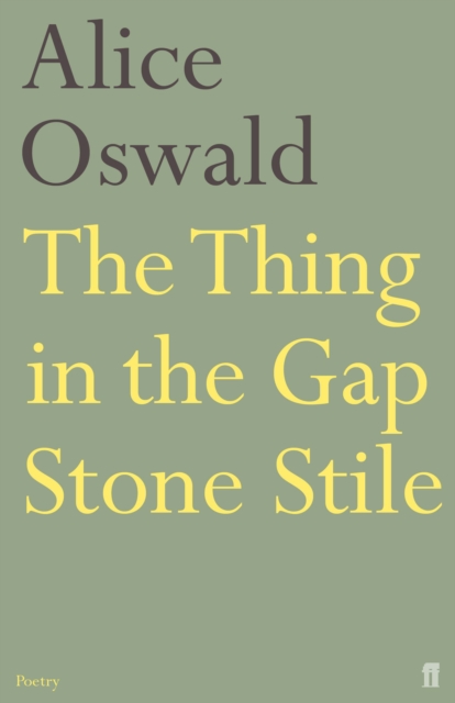 The Thing in the Gap Stone Stile, EPUB eBook