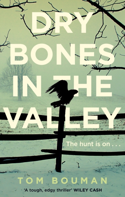 Dry Bones in the Valley, Paperback / softback Book