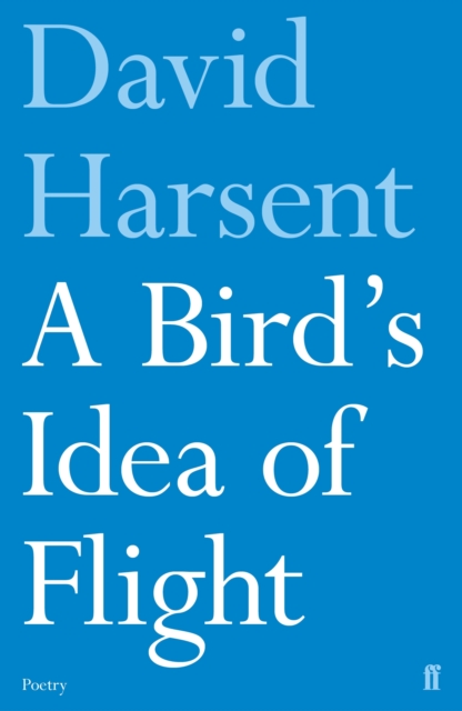 A Bird's Idea of Flight, Paperback / softback Book