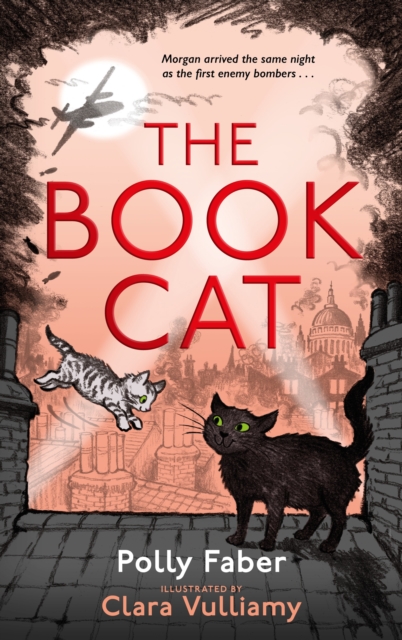 The Book Cat, Hardback Book