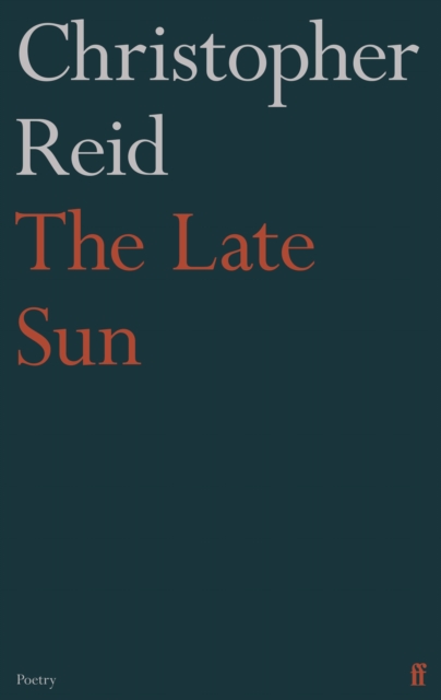 The Late Sun, Paperback / softback Book