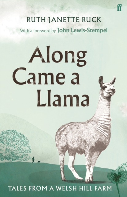 Along Came a Llama, Hardback Book