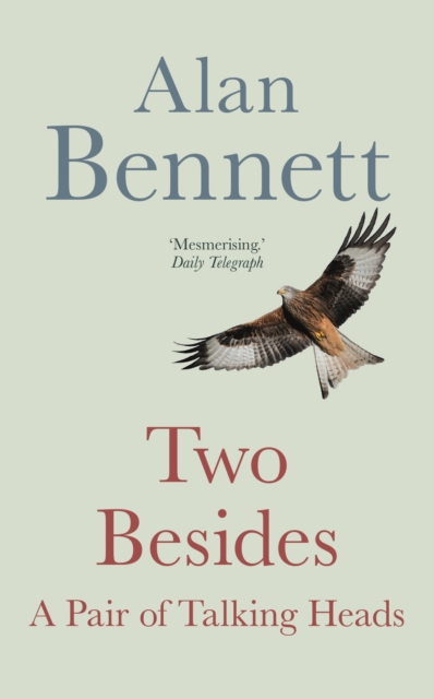 Two Besides : A Pair of Talking Heads, EPUB eBook