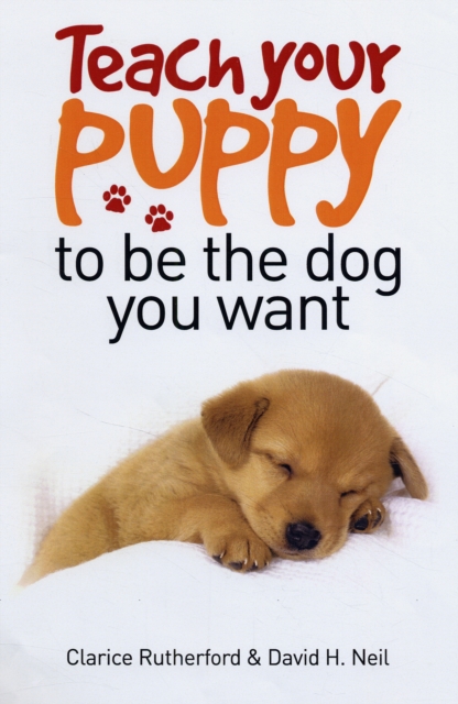 Teach Your Puppy to be the Dog You Want, Paperback / softback Book