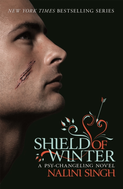 Shield of Winter : Book 13, Paperback / softback Book