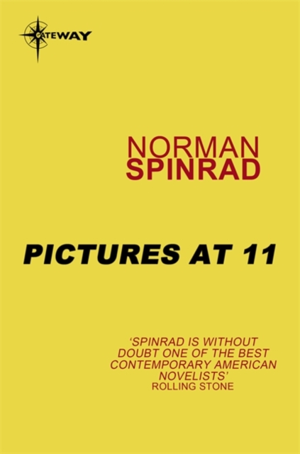 Pictures at 11, EPUB eBook
