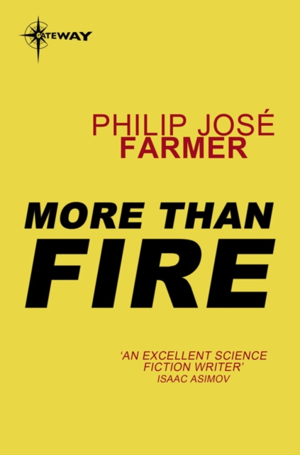 More Than Fire, EPUB eBook