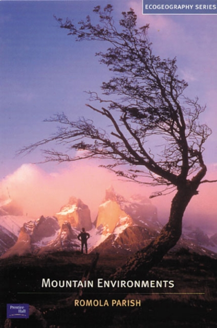 Mountain Environments, Paperback / softback Book