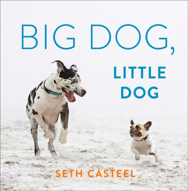 Big Dog, Little Dog, Hardback Book