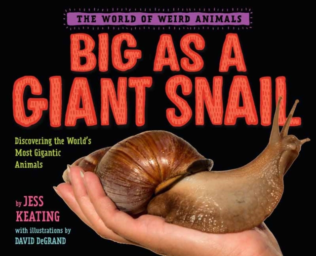 Big as a Giant Snail, Hardback Book