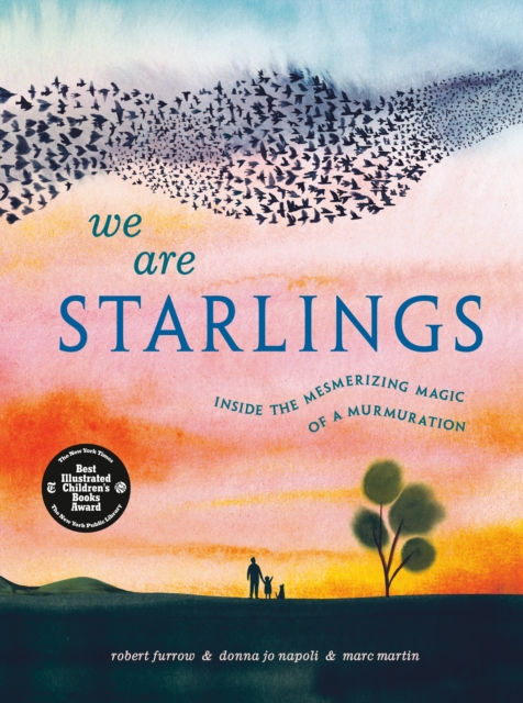 We Are Starlings, Hardback Book