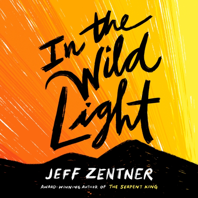 In the Wild Light, eAudiobook MP3 eaudioBook