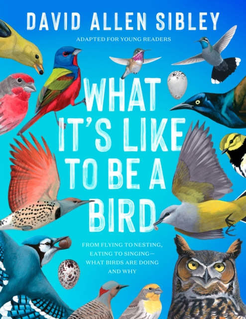 What It's Like to Be a Bird (Adapted for Young Readers), EPUB eBook