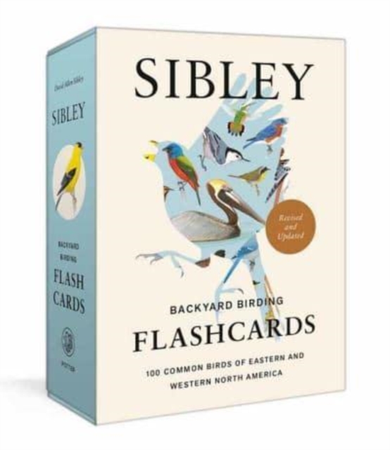 Sibley Backyard Birding Flashcards, Revised and Updated : 100 Common Birds of Eastern and Western North America, Cards Book