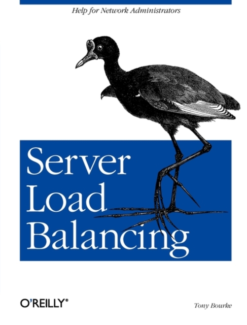 Server Load Balancing, Book Book