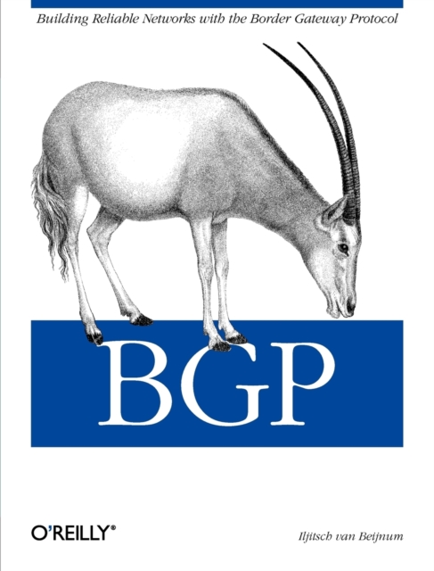 BGP : Building Reliable Networks with Border Gateway Protocol, Paperback / softback Book