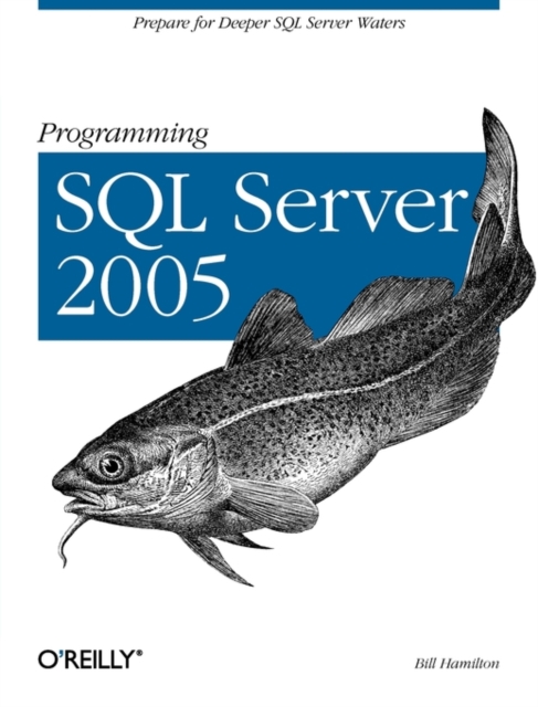 Programming SQL Server 2005, Paperback / softback Book