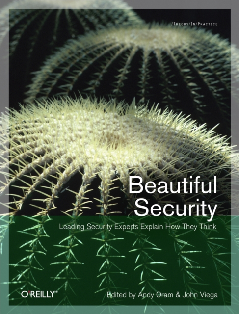 Beautiful Security : Leading Security Experts Explain How They Think, PDF eBook