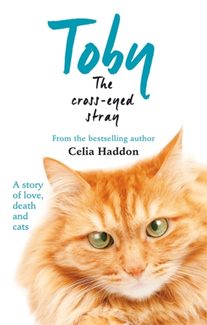 Toby the Cross-Eyed Stray, Paperback Book
