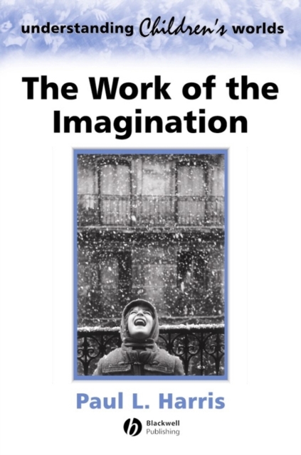 The Work of the Imagination, Paperback / softback Book