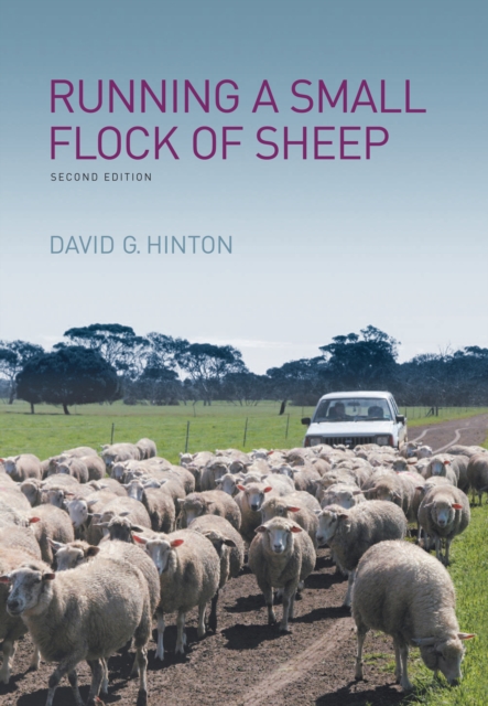 Running a Small Flock of Sheep, PDF eBook