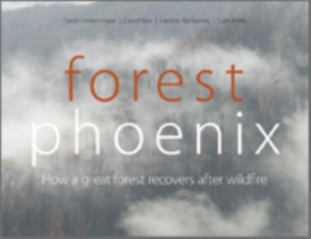 Forest Phoenix : How a Great Forest Recovers After Wildfire, EPUB eBook