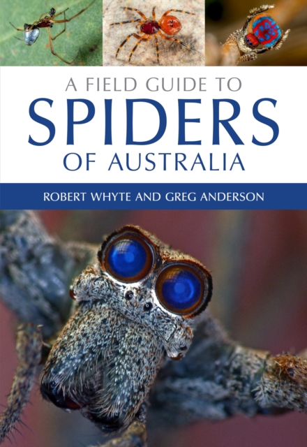 A Field Guide to Spiders of Australia, Paperback / softback Book
