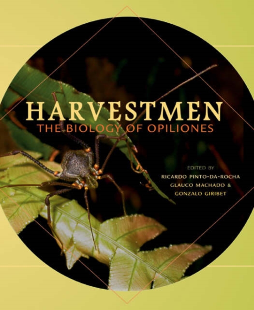 Harvestmen : The Biology of Opiliones, Hardback Book
