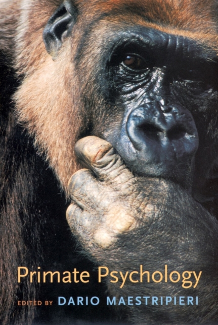 Primate Psychology, PDF eBook