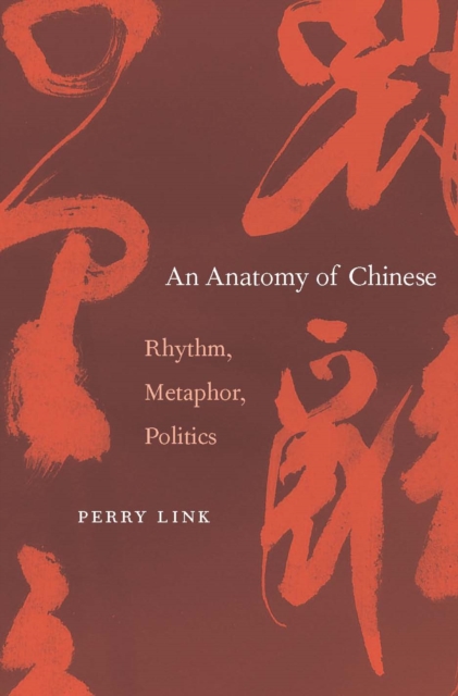 An Anatomy of Chinese : Rhythm, Metaphor, Politics, EPUB eBook