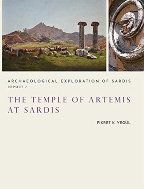 The Temple of Artemis at Sardis, Multiple-component retail product Book