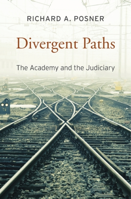 Divergent Paths : The Academy and the Judiciary, Hardback Book