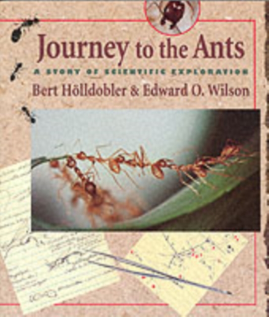 Journey to the Ants : A Story of Scientific Exploration, Paperback / softback Book