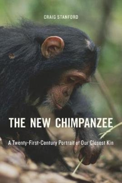 The New Chimpanzee : A Twenty-First-Century Portrait of Our Closest Kin, Hardback Book
