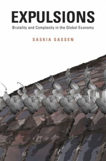 Expulsions : Brutality and Complexity in the Global Economy, Paperback / softback Book