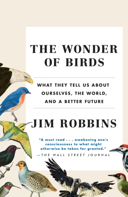 Wonder of Birds, EPUB eBook
