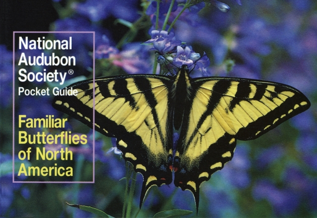 National Audubon Society Pocket Guide: Familiar Butterflies of North America, Paperback / softback Book