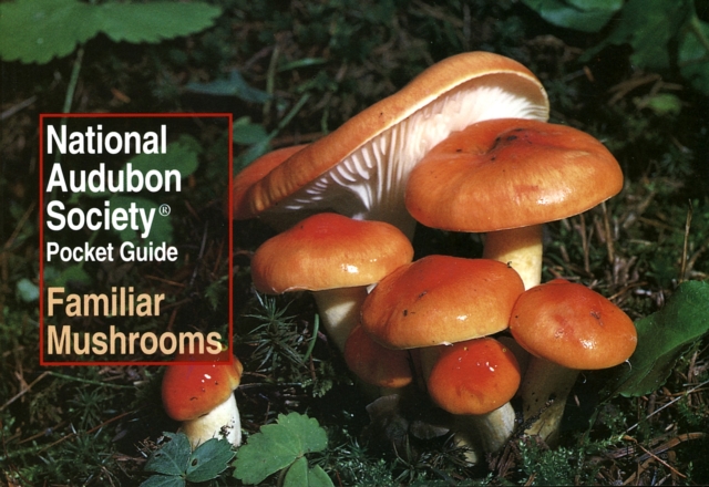 National Audubon Society Pocket Guide: Familiar Mushrooms, Paperback / softback Book