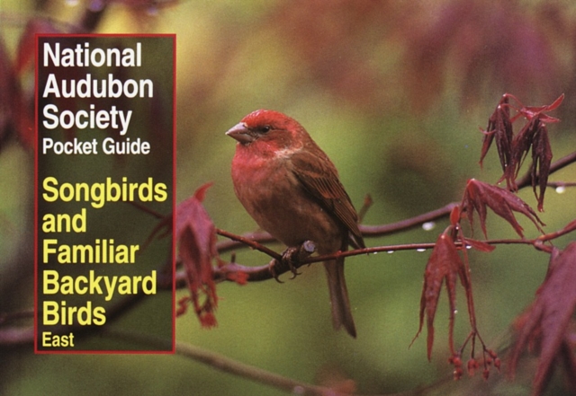 National Audubon Society Pocket Guide to Songbirds and Familiar Backyard Birds: Eastern Region : East, Paperback / softback Book
