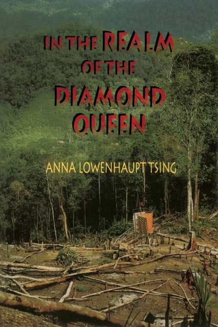In the Realm of the Diamond Queen : Marginality in an Out-of-the-Way Place, Paperback / softback Book