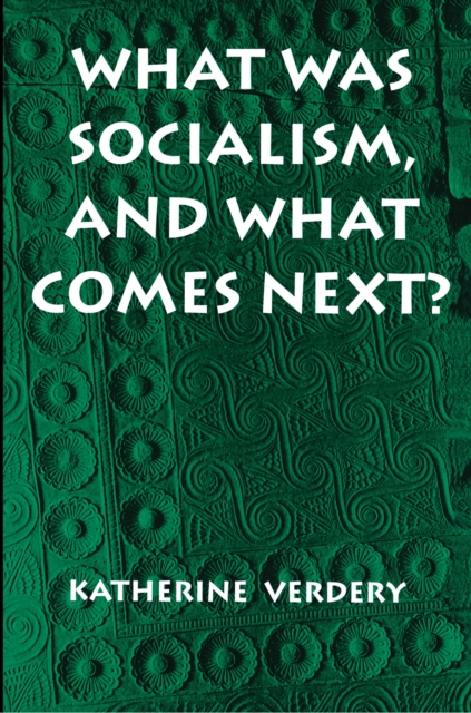 What Was Socialism, and What Comes Next?, Paperback / softback Book