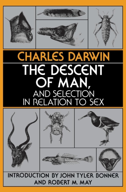 The Descent of Man, and Selection in Relation to Sex, Paperback / softback Book